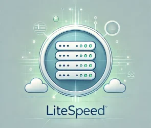 LiteSpeed - o que é e sua importancia