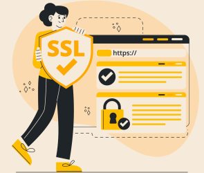 SSL - 10 curiosidades sobre