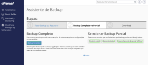 Representação da tela de opções dos tipos de backup