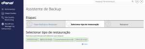 Representação das opções dos tipos de arquivos que podem ser restaurados