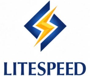 Por que escolher uma hospedagem de site com Litespeed?