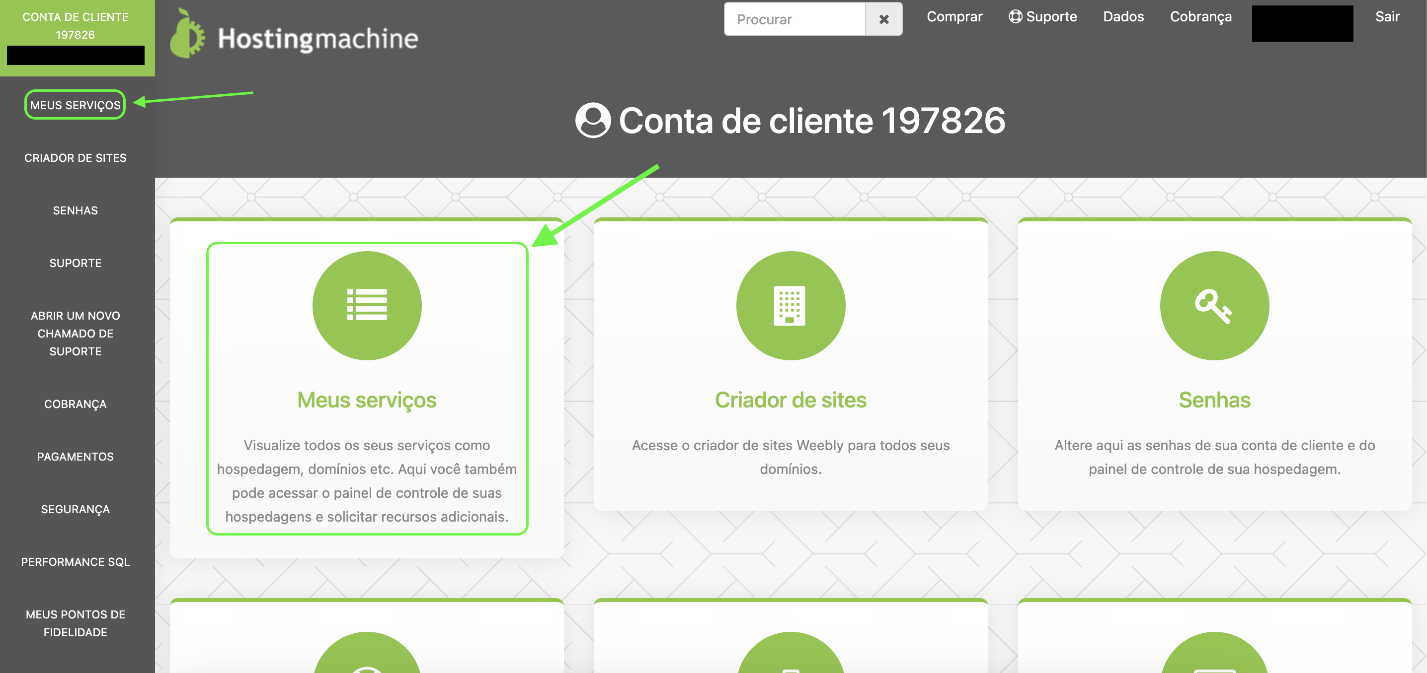 Representação da tela do portal do cliente e a localização da área "Meus serviços"