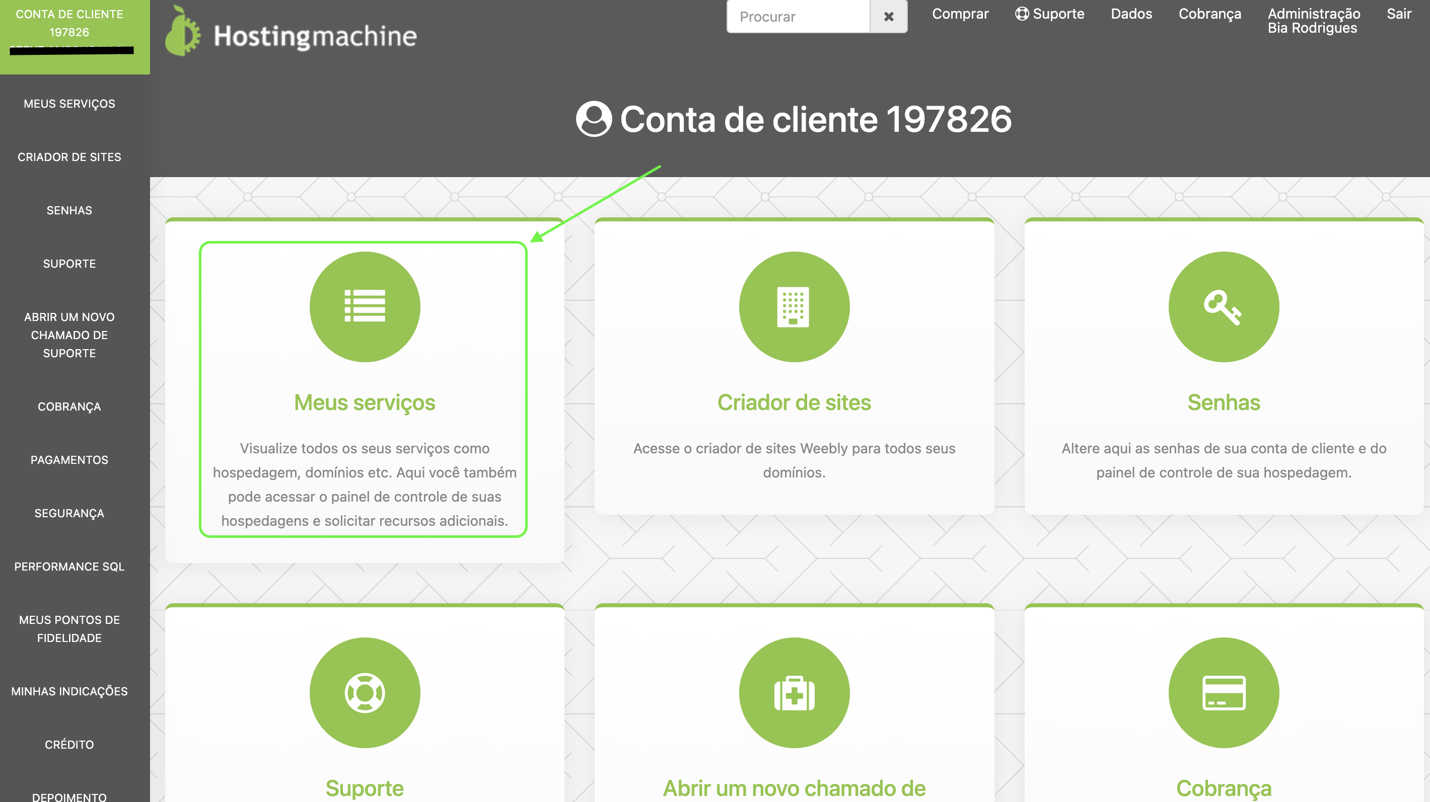 Representação da tela inicial do portal do cliente e localização da área "Serviços"