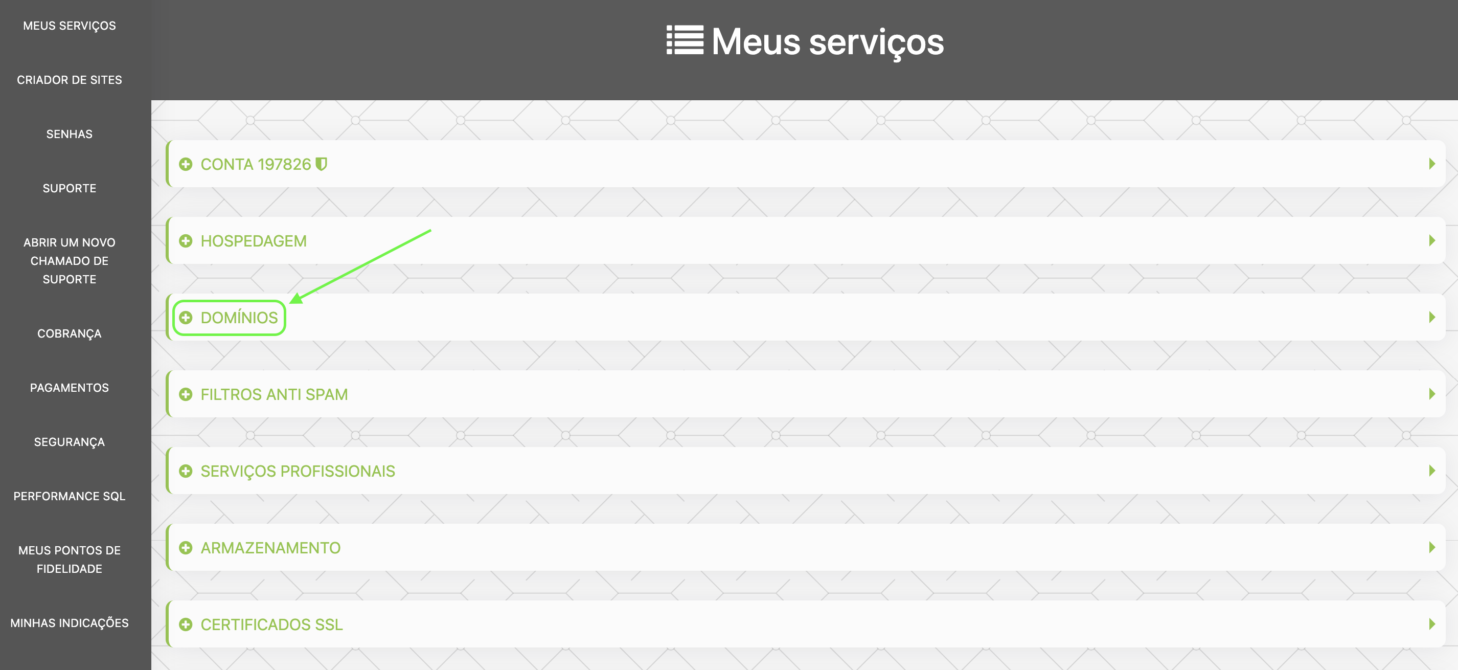 Representação da tela de serviços e a localização da opção "Domínios"