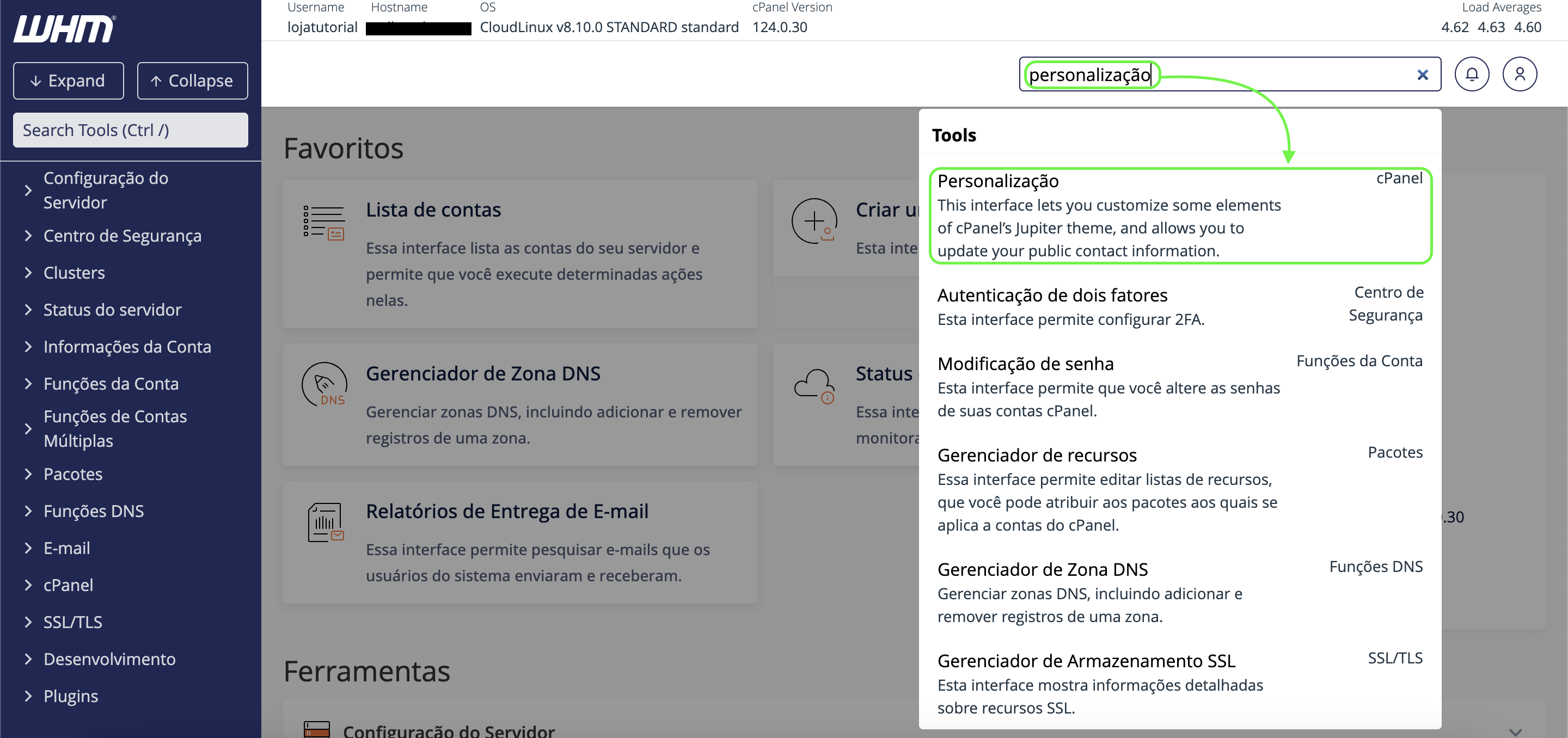 Representação da barra de pesquisa e da opção "Personalização "
