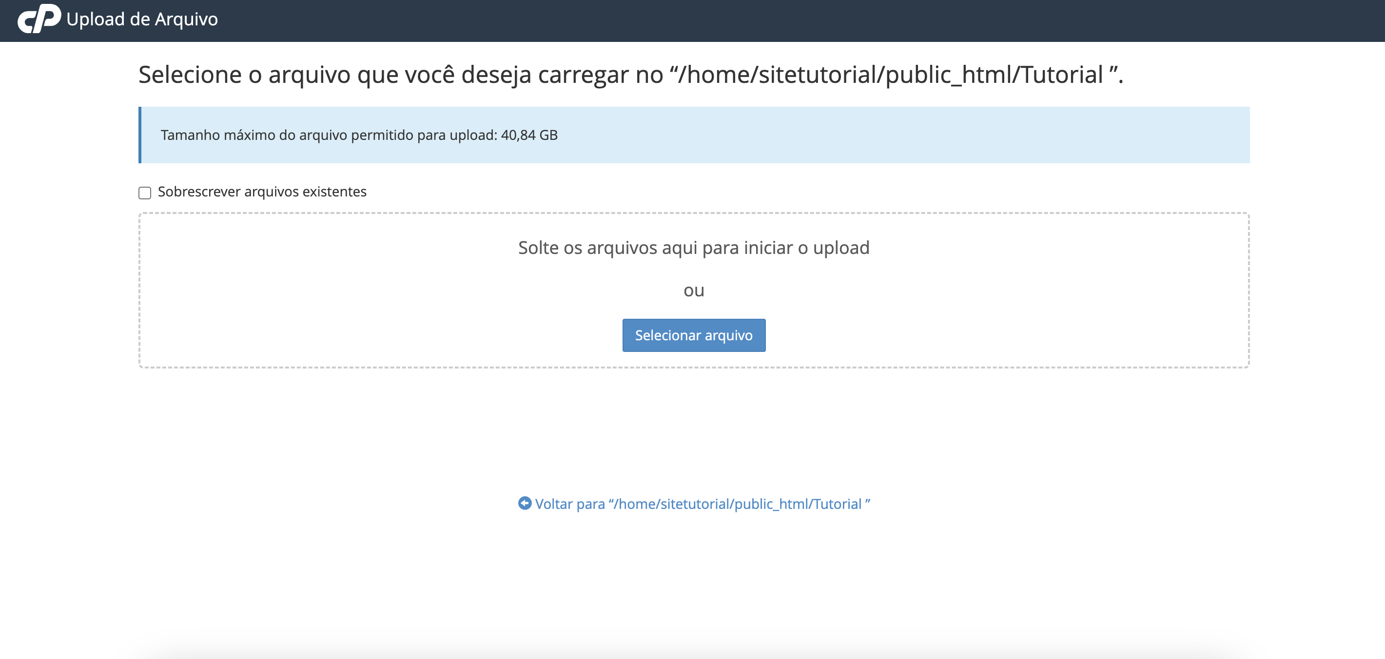 Representação da tela para upload de arquivos