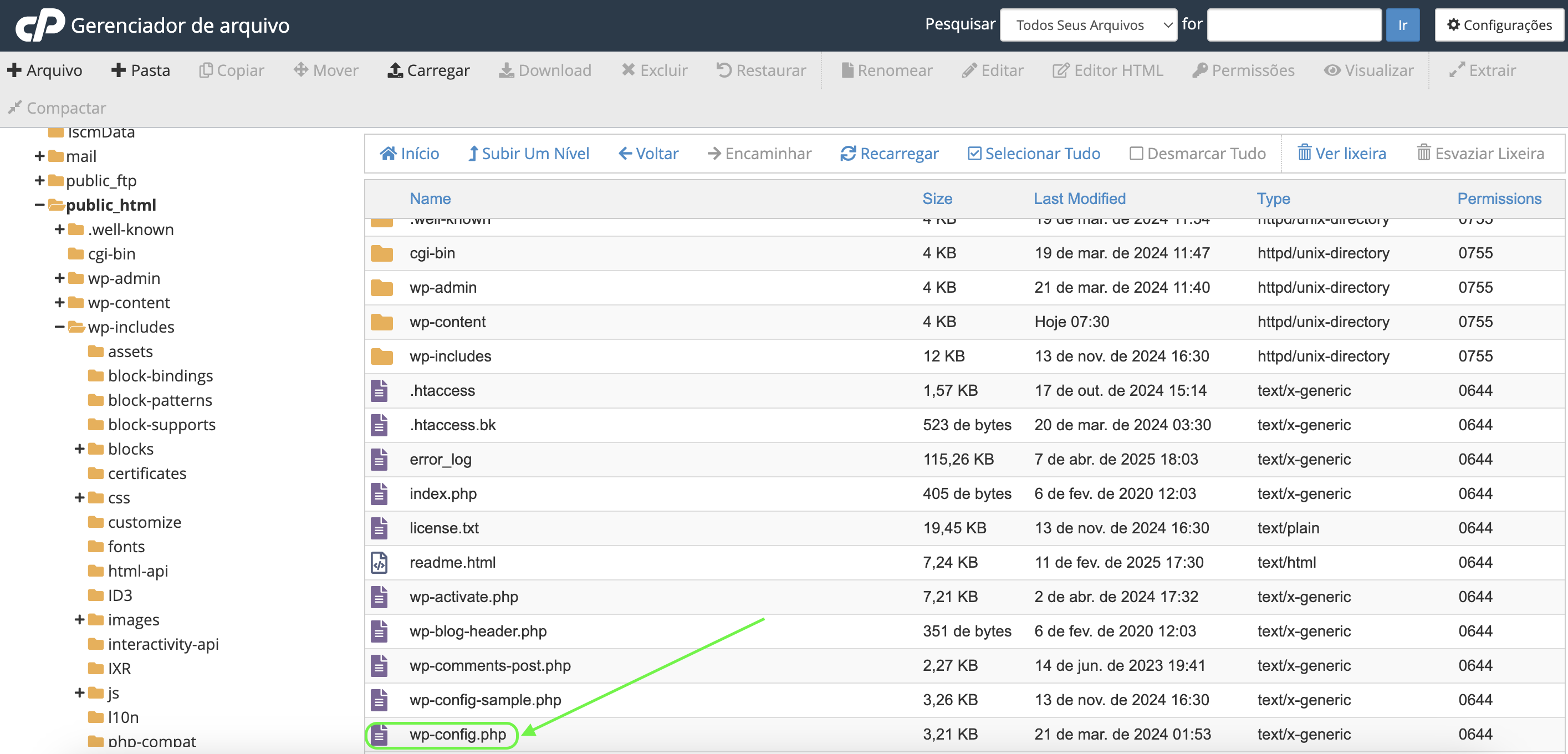 Representação do arquivo wp-config.php