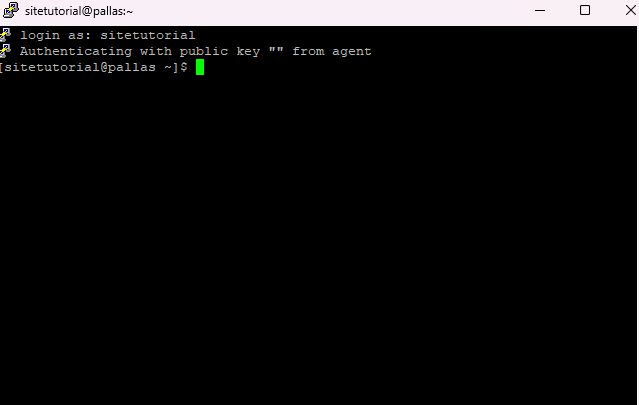 Representação do terminal SSH