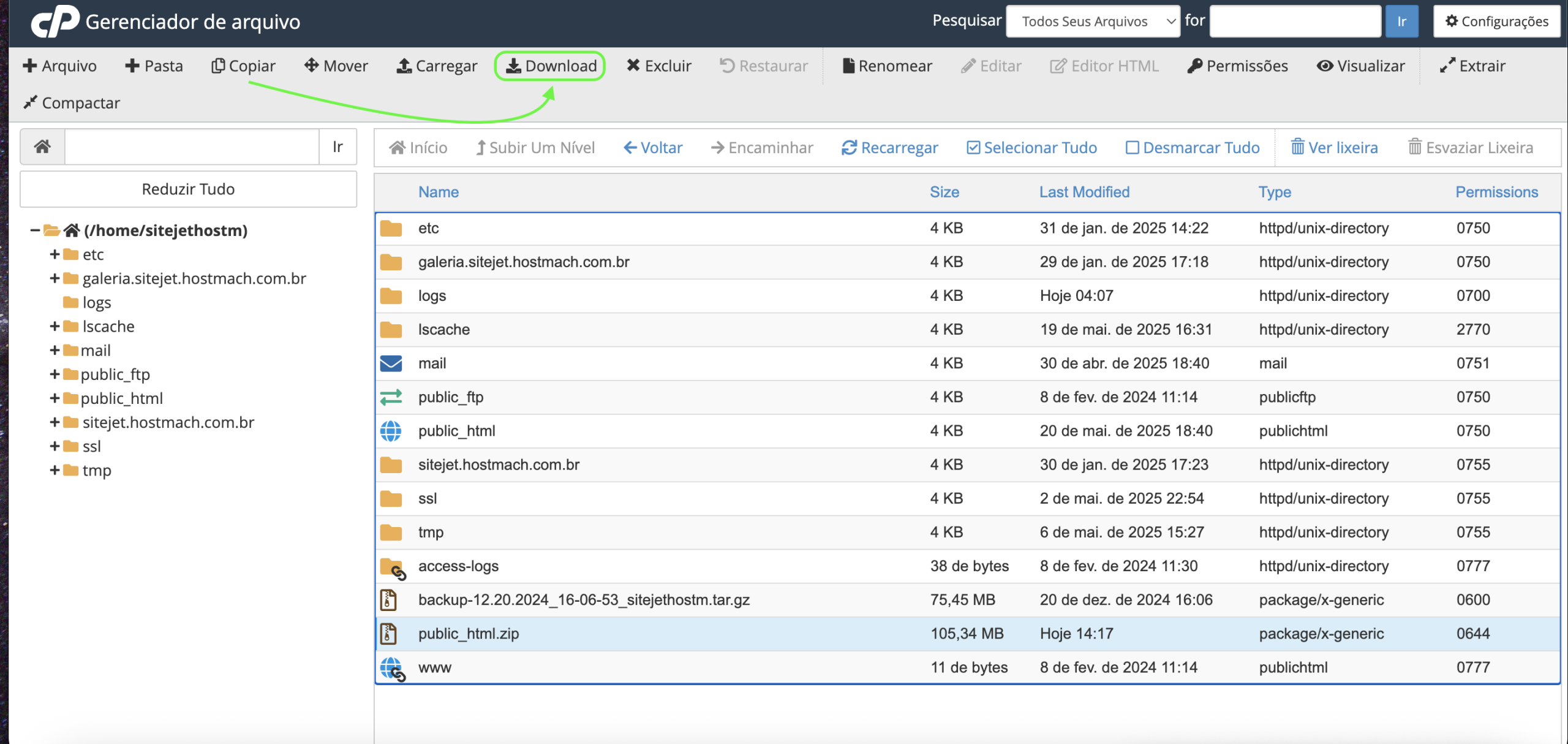 Representação da localização do botão "Download"