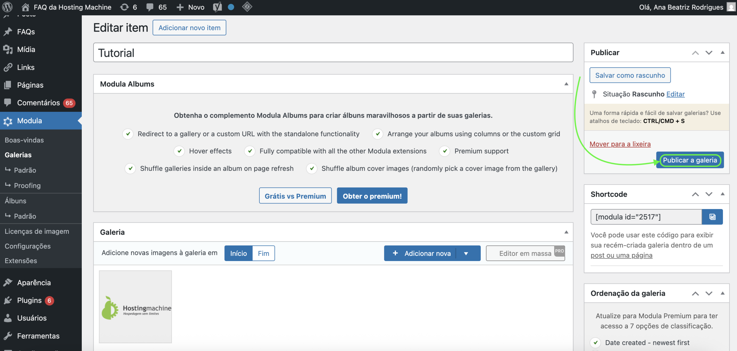 Representação da localização do botão "Publicar a galeria"