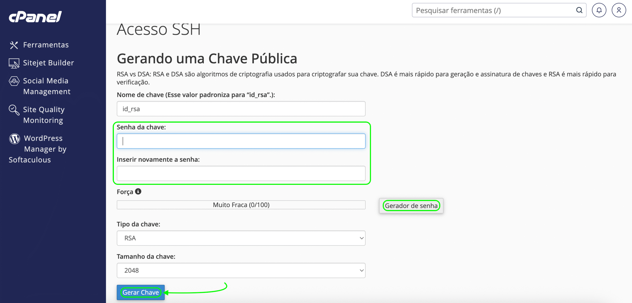 Representação do campo de senha, botão "Gerador de senha" e o botão "Gerar chave"