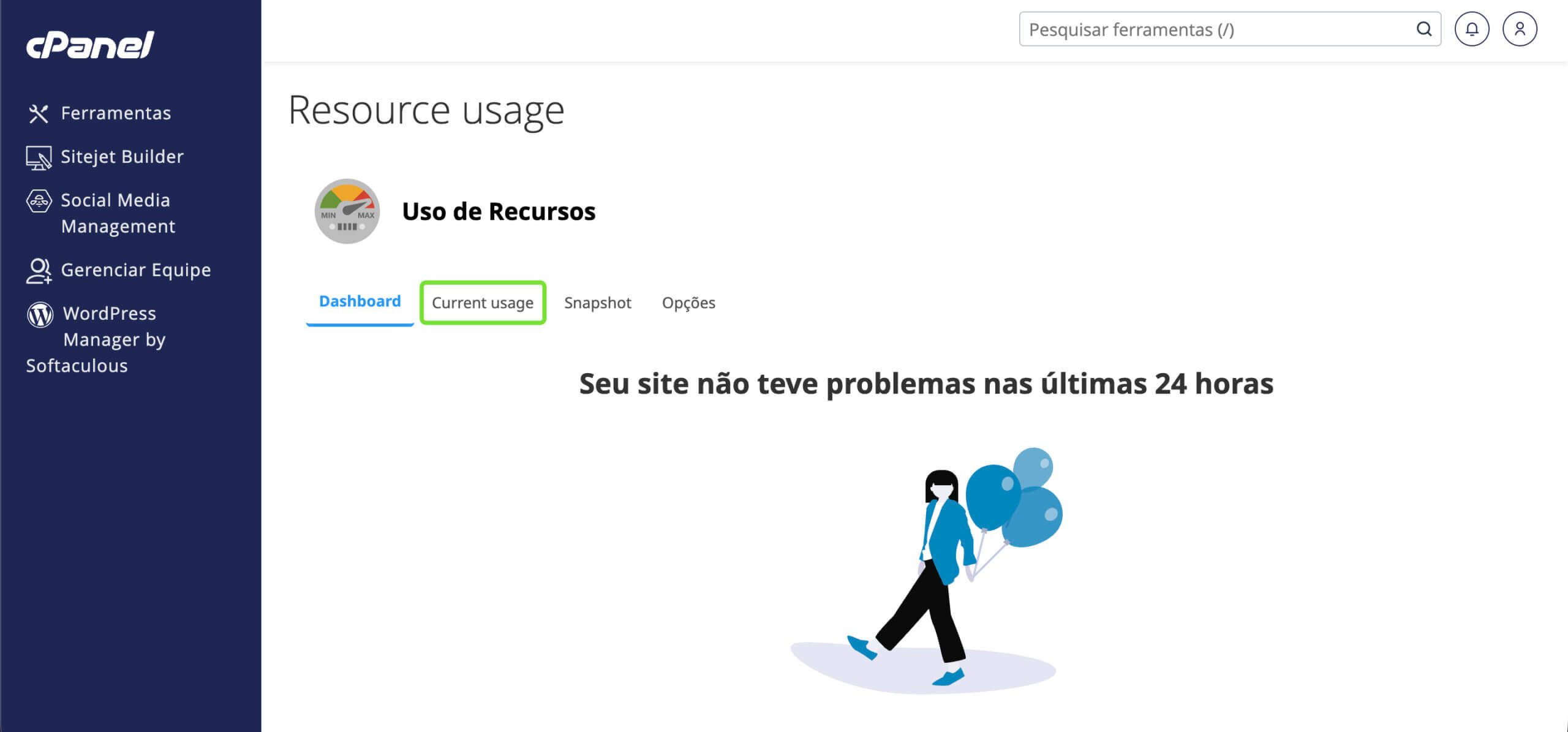 Representação da localização da opção "Current usage"