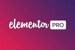 Nova vulnerabilidade do Elementor Pro descoberta!